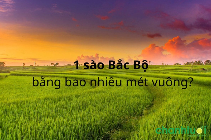 1-sao-bac-bo-bang-bao-nhiều-gặp-khu vực-2