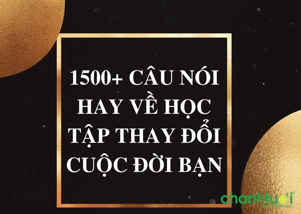 cau-noi-hay-ve-hoc-tap