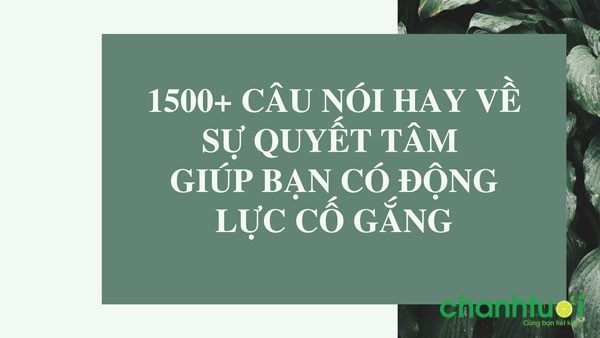 cau-noi-hay-ve-su-quyet-tam-0.jpg