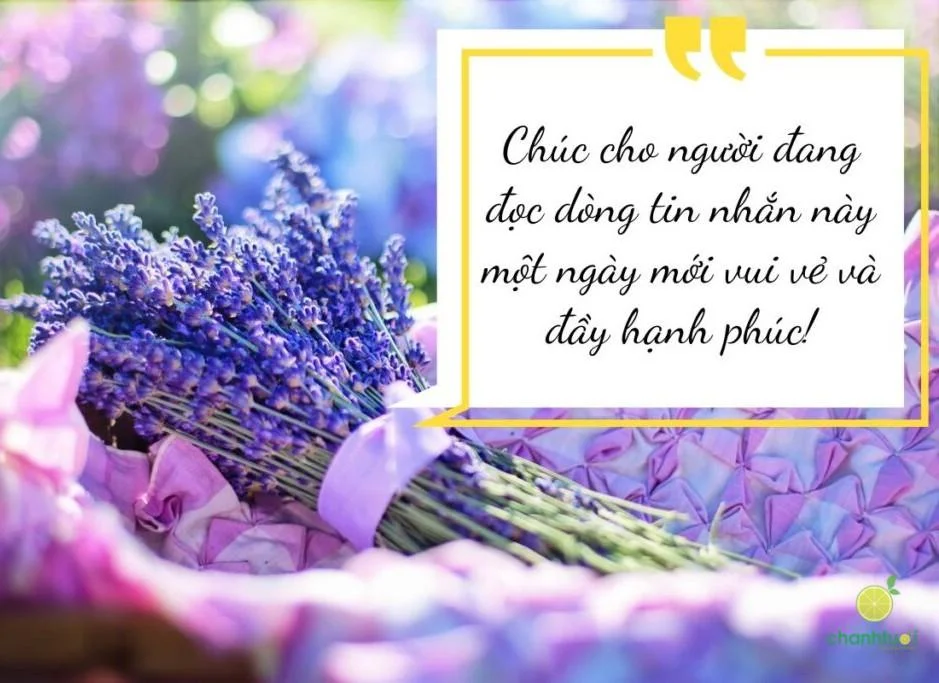 thiệp chúc ngày mới 17