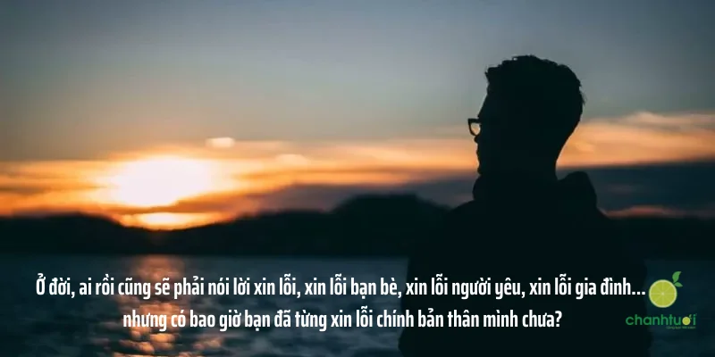 Stt xin lỗi 2