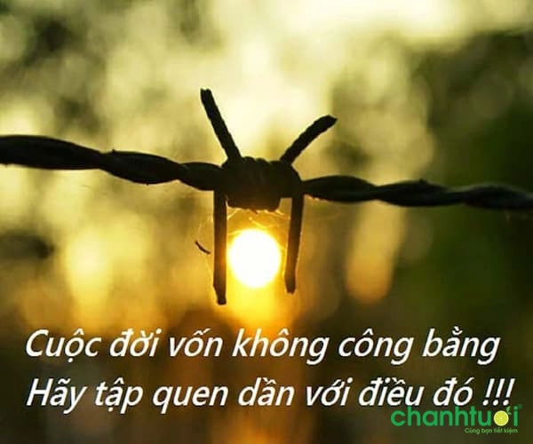 stt-ve-cuoc-song-xa-hoi-10-1668909237