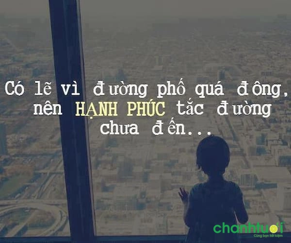 stt-ve-cuoc-song-xa-hoi-3-1668907605