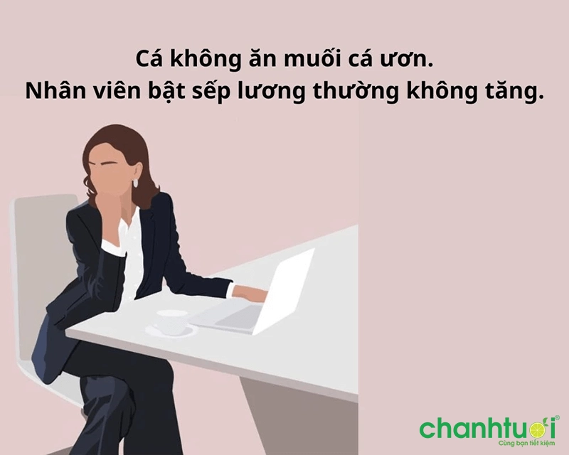 Stt về công việc hài hước