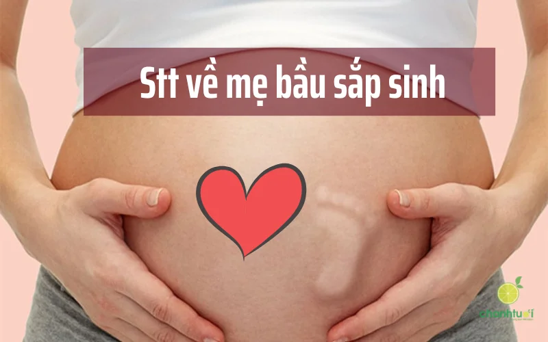 stt về mẹ bầu 2