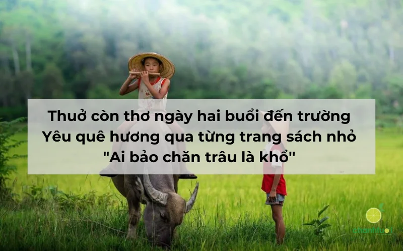 thơ về quê hương 11