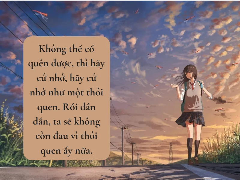 stt quá khứ (6)