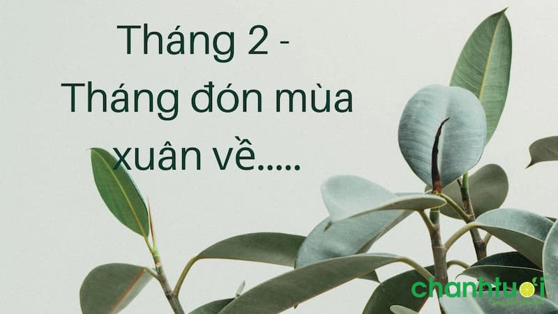 thang 2 don mua xuan ve