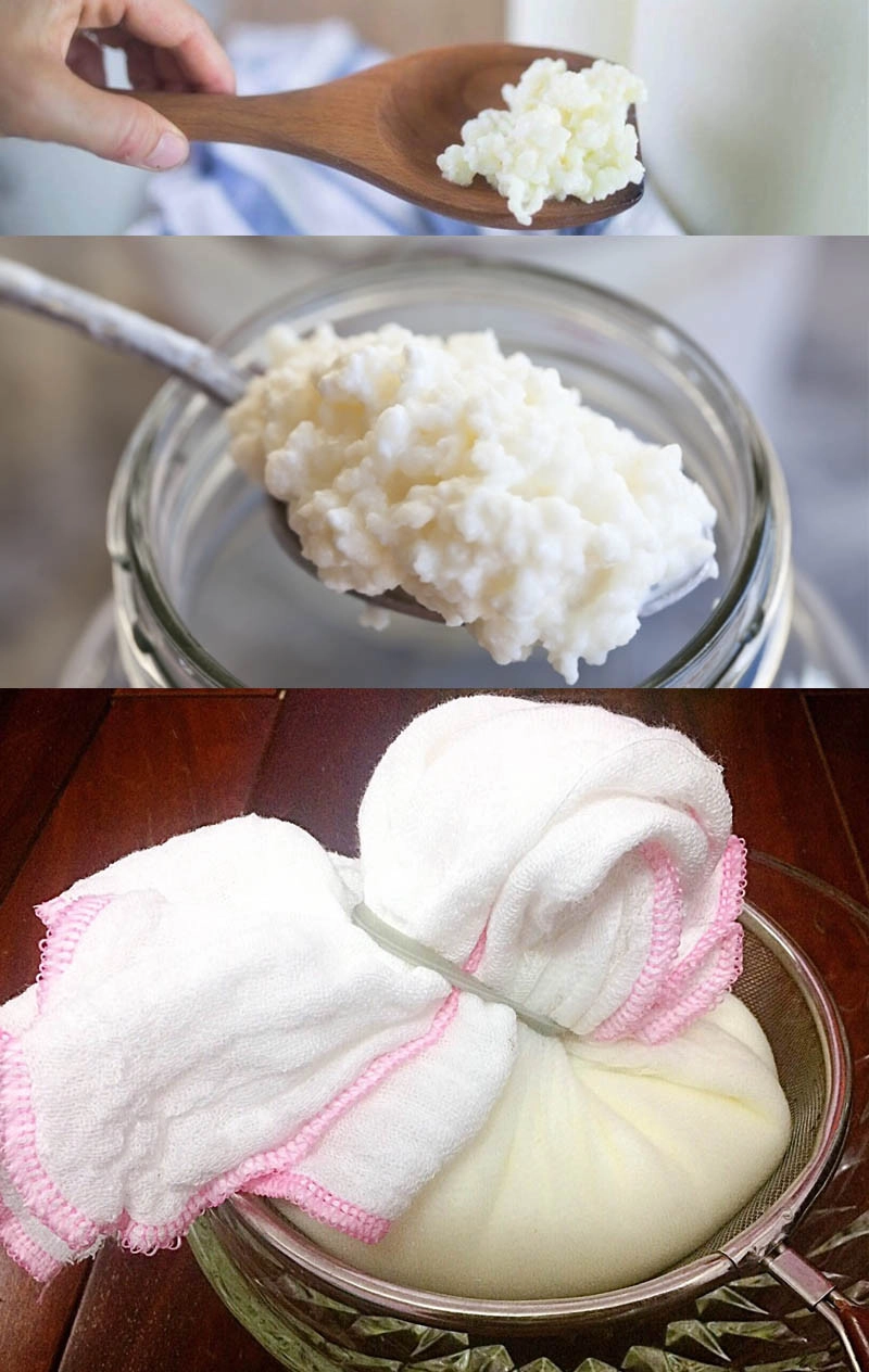 how-to-make-milk-sour-hy-lap-nam-Kefir