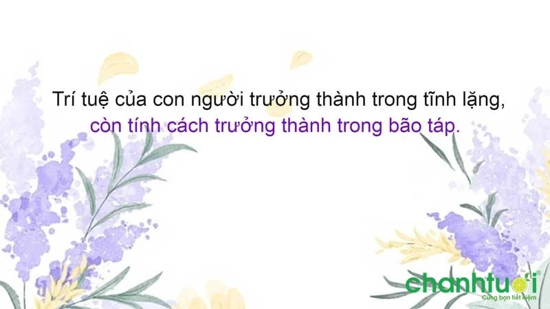 Những câu nói hay về trưởng thành trong cuộc đời khiến bạn phải suy nghĩ