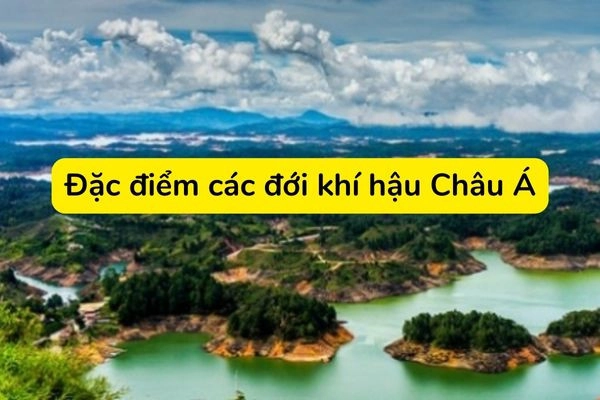 câu-a-làm-thế-nào-khi-hau-1