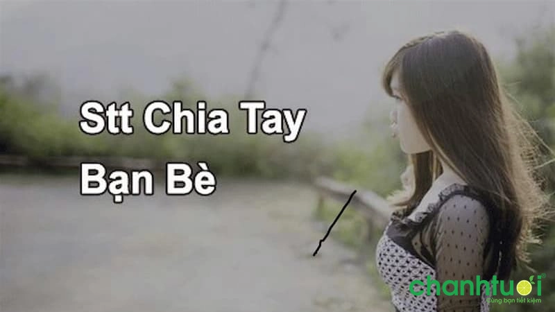 Stt chia tay bạn bè 