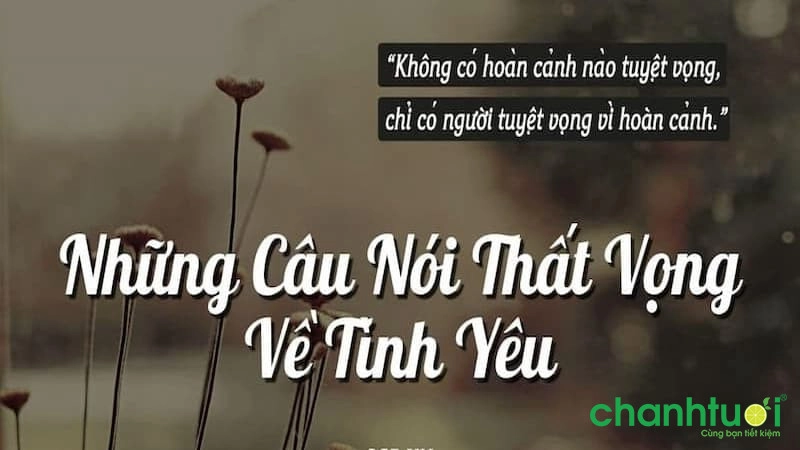 Stt thất vọng về tình yêu 