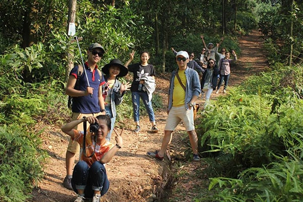 Thịt lợn Trecking