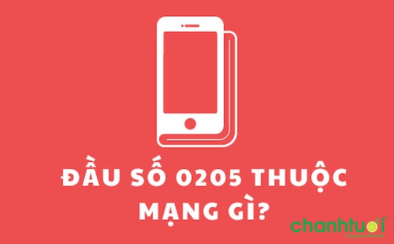 dau-so-0205-thuoc-mang-gi