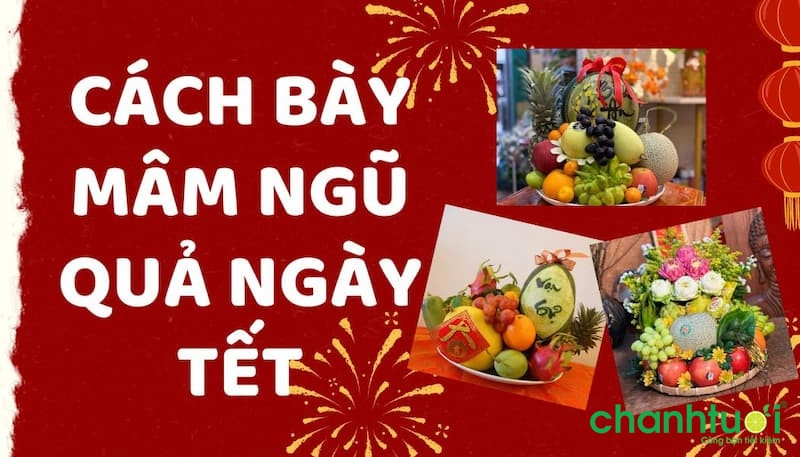 bay-mam-ngu ngốc-over