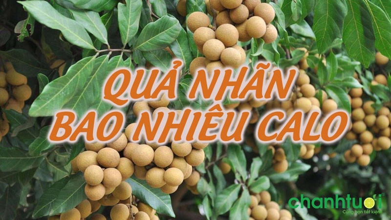 bao nhiêu calo-0